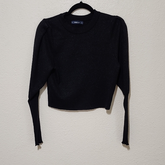 Zara Sweaters - Zara Silver and Black Crop Fitted Sweater